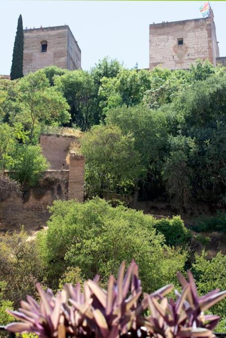 Alhambra Enamora 1 -Paseo De Los Tristes View 1 -C غرناطة المظهر الخارجي الصورة