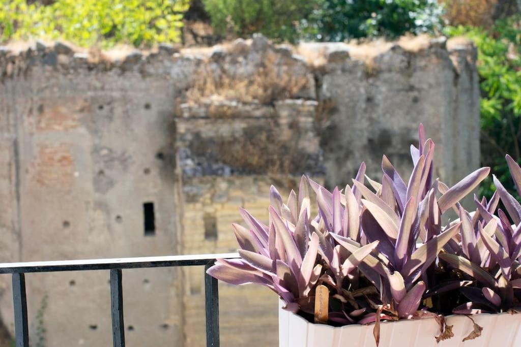 Alhambra Enamora 1 -Paseo De Los Tristes View 1 -C غرناطة المظهر الخارجي الصورة